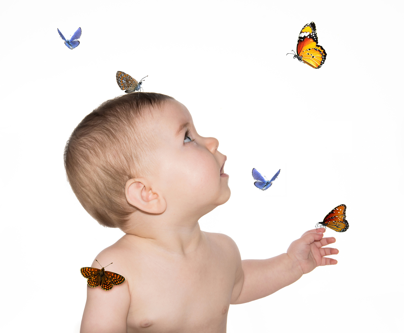 baby and butterfly