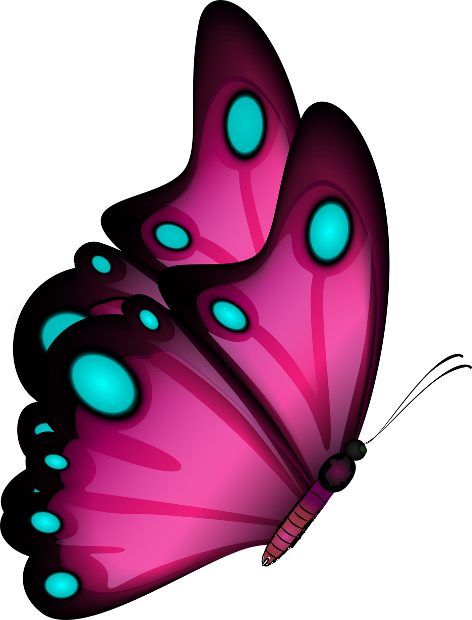 Pink Butterfly